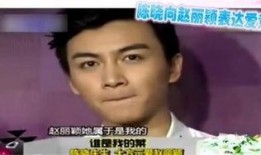 爆料娱乐圈陈晓,揭秘明星背后的故事