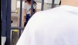 张二嫂免费请吃哈密瓜,哈密瓜盛宴共享甜蜜时光